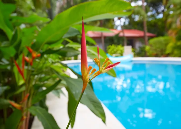 Living Hotel